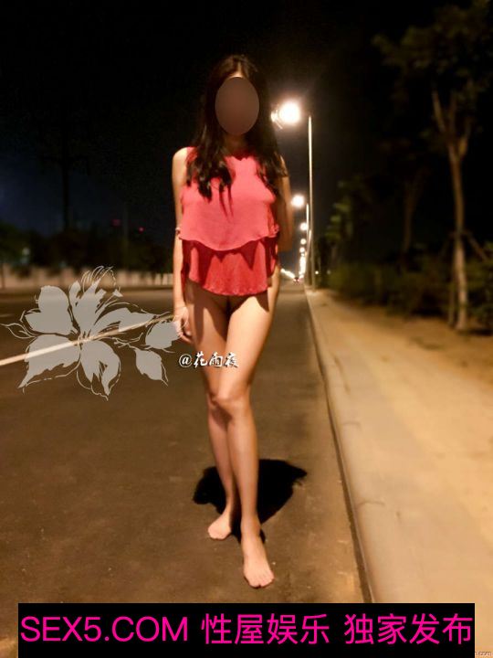 花雨夜系列：夜晚马路全裸露出，大胆就会真刺激[23P]