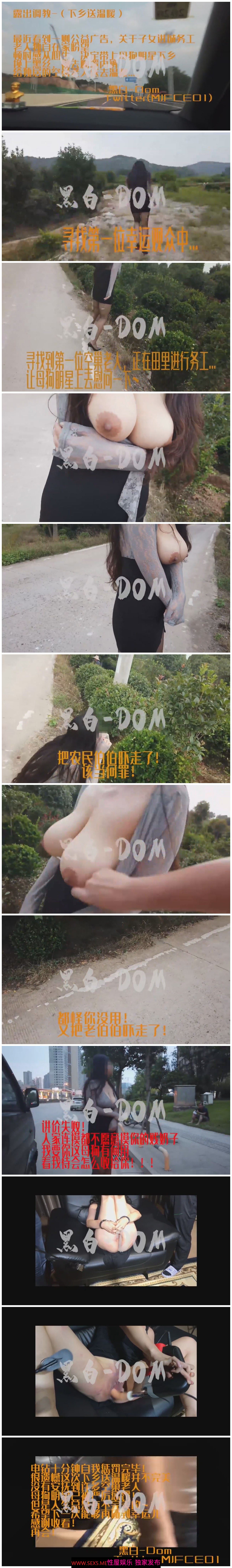 推特大神黑白-DOM高质量出品 带着母狗露出一对胸器下乡调教送温暖 失败回来抽B电动钻惩
